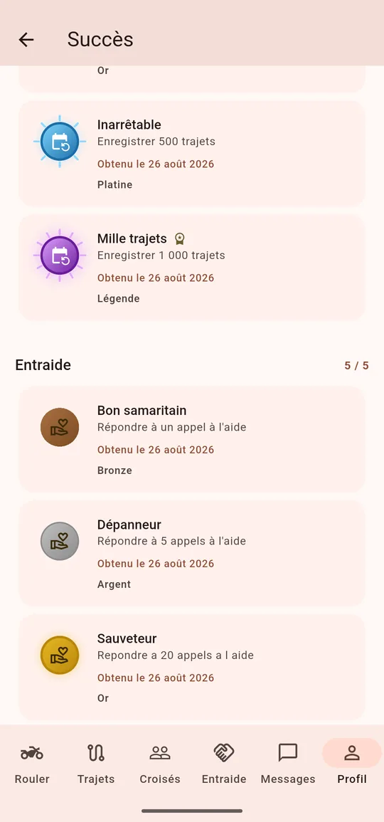 La liste des succès : ceux décrochés, ceux en cours avec leur barre de progression, rangés par famille.